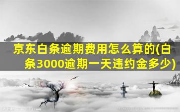 京东白条逾期费用怎么算的(白条3000逾期一天违约金多少)