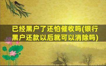 已经黑户了还怕催收吗(银行黑户还款以后就可以消除吗)