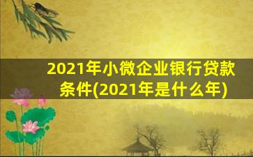 2021年小微企业银行贷款条件(2021年是什么年)