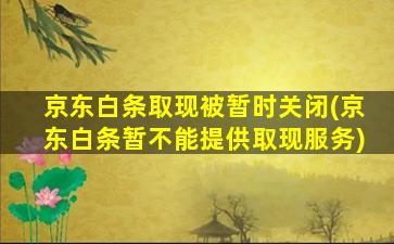 京东白条取现被暂时关闭(京东白条暂不能提供取现服务)