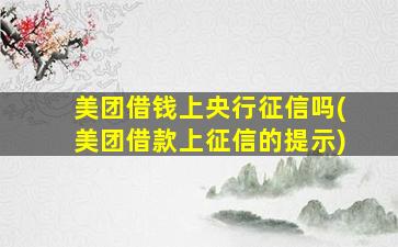 美团借钱上央行征信吗(美团借款上征信的提示)