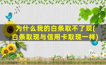 为什么我的白条取不了现(白条取现与信用卡取现一样)