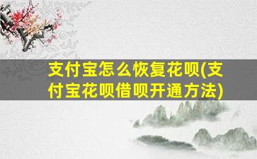 支付宝怎么恢复花呗(支付宝花呗借呗开通方法)