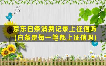 京东白条消费记录上征信吗(白条是每一笔都上征信吗)