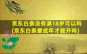 京东白条没有满18岁可以吗(京东白条要成年才能开吗)