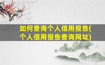 如何查询个人信用报告(个人信用报告查询网址)