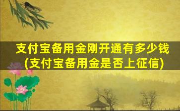 支付宝备用金刚开通有多少钱(支付宝备用金是否上征信)