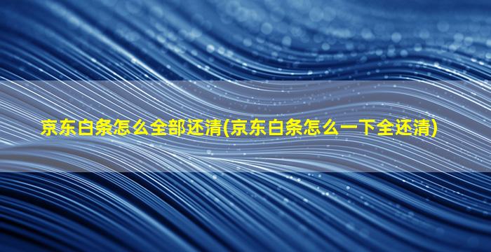 京东白条怎么全部还清(京东白条怎么一下全还清)