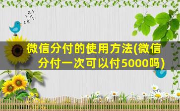 微信分付的使用方法(微信分付一次可以付5000吗)