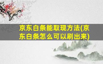 京东白条能取现方法(京东白条怎么可以刷出来)