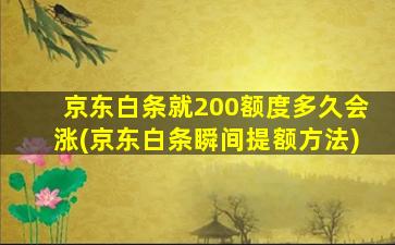 京东白条就200额度多久会涨(京东白条瞬间提额方法)