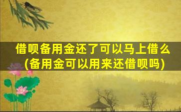 借呗备用金还了可以马上借么(备用金可以用来还借呗吗)