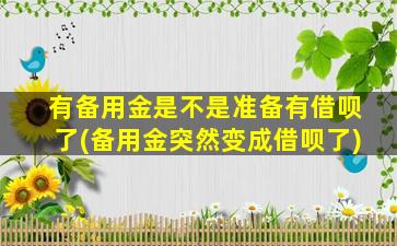 有备用金是不是准备有借呗了(备用金突然变成借呗了)