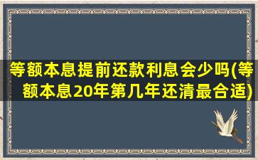 等额本息提前还款利息会少吗(等额本息20年第几年还清最合适)