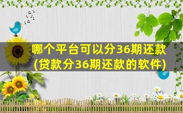 哪个平台可以分36期还款(贷款分36期还款的软件)