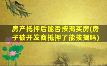 房产抵押后能否按揭买房(房子被开发商抵押了能按揭吗)