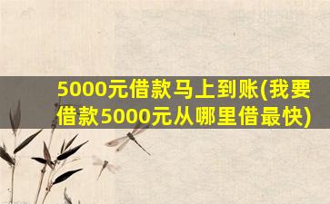 5000元借款马上到账(我要借款5000元从哪里借最快)