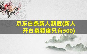 京东白条新人额度(新人开白条额度只有500)