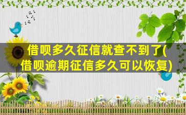 借呗多久征信就查不到了(借呗逾期征信多久可以恢复)