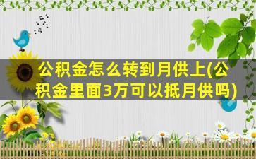 公积金怎么转到月供上(公积金里面3万可以抵月供吗)