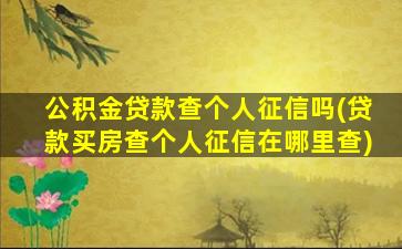 公积金贷款查个人征信吗(贷款买房查个人征信在哪里查)