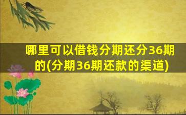 哪里可以借钱分期还分36期的(分期36期还款的渠道)