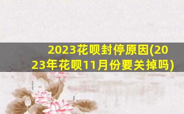 2023花呗封停原因(2023年花呗11月份要关掉吗)