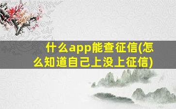 什么app能查征信(怎么知道自己上没上征信)