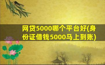 网贷5000哪个平台好(身份证借钱5000马上到账)