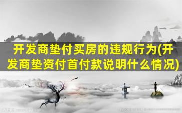 开发商垫付买房的违规行为(开发商垫资付首付款说明什么情况)