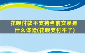 花呗付款不支持当前交易是什么体验(花呗支付不了)