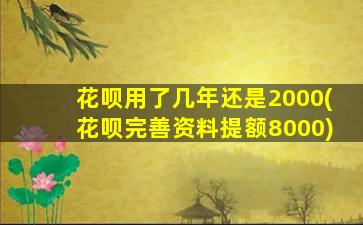 花呗用了几年还是2000(花呗完善资料提额8000)