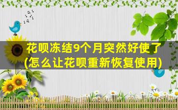 花呗冻结9个月突然好使了(怎么让花呗重新恢复使用)