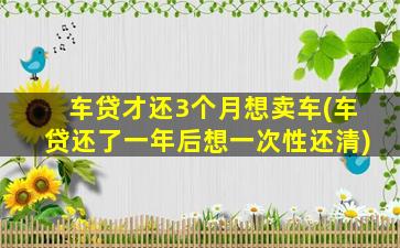 车贷才还3个月想卖车(车贷还了一年后想一次性还清)