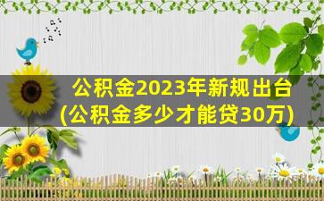 公积金2023年新规出台(公积金多少才能贷30万)