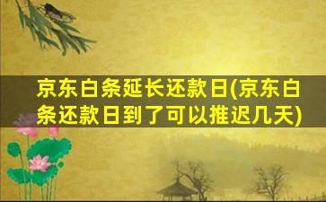 京东白条延长还款日(京东白条还款日到了可以推迟几天)