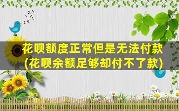 花呗额度正常但是无法付款(花呗余额足够却付不了款)