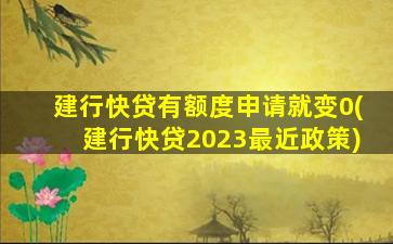 建行快贷有额度申请就变0(建行快贷2023最近政策)