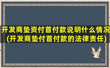 开发商垫资付首付款说明什么情况(开发商垫付首付款的法律责任)