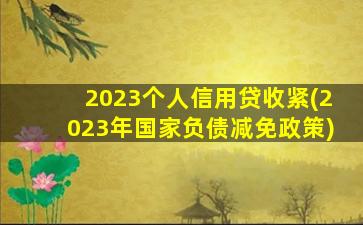 2023个人信用贷收紧(2023年国家负债减免政策)