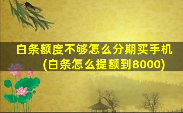 白条额度不够怎么分期买手机(白条怎么提额到8000)