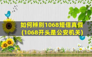 如何辨别1068短信真假(1068开头是公安机关)