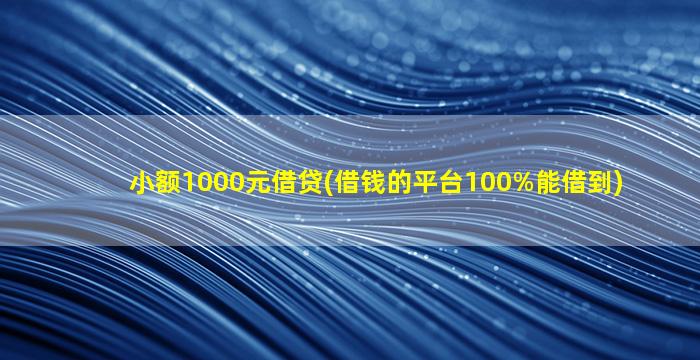 小额1000元借贷(借钱的平台100%能借到)