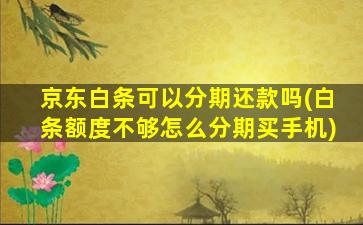 京东白条可以分期还款吗(白条额度不够怎么分期买手机)