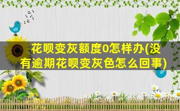 花呗变灰额度0怎样办(没有逾期花呗变灰色怎么回事)