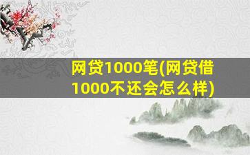 网贷1000笔(网贷借1000不还会怎么样)