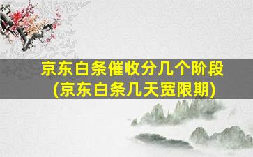 京东白条催收分几个阶段(京东白条几天宽限期)