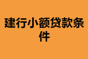 建行小额贷款条件：年满十八周岁（提供贷款担保）