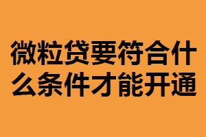 微粒贷要符合什么条件才能开通？稳定收入来源（年满18周岁）