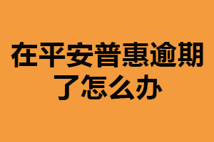 在平安普惠逾期了怎么办？及时联系该平台（做好信用维护）